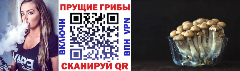 Галлюциногенные грибы мицелий  хочу   Осинники 